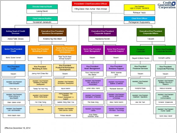 Organization-Structure-16122014 | Credit Guarantee Corporation ...