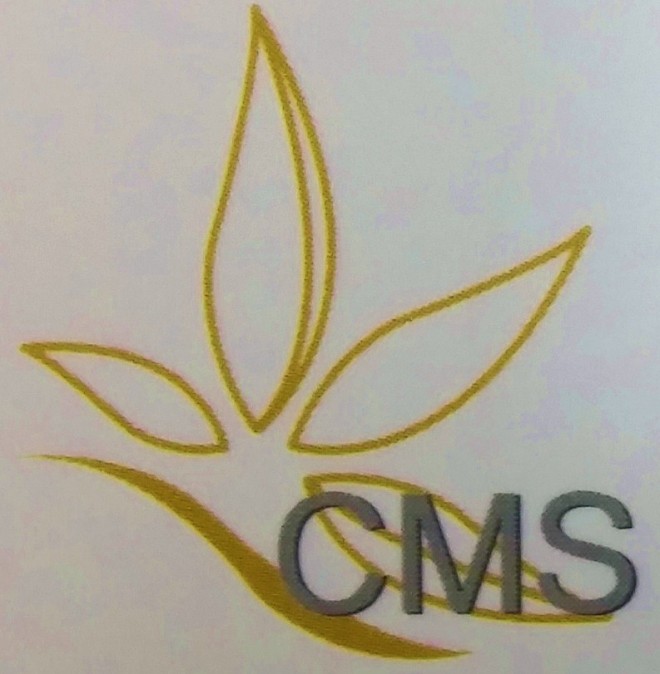 CMS-Advertisement