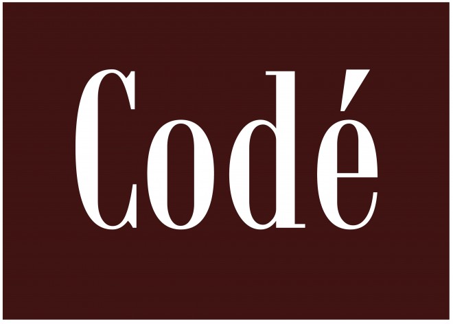 code-logo-for-bag